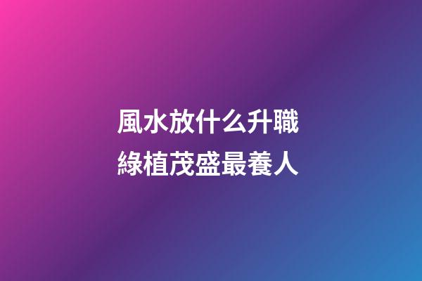 風水放什么升職 綠植茂盛最養人